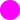 FLUOR FUCSIA