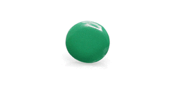 Pin Turmi