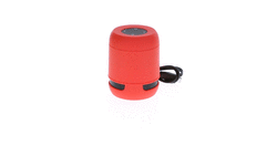 Altavoz Braiss