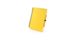 Caderno Koguel