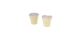 Set Pot de Fleurs Nertel