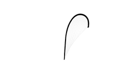 Bandera Roldus